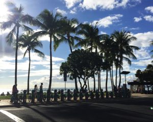 ハワイではbikiでの移動が便利です。